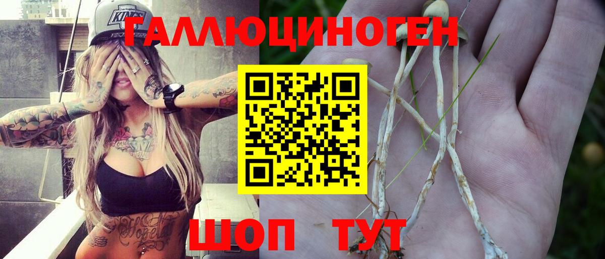 Галлюциногенные грибы мицелий Костомукша